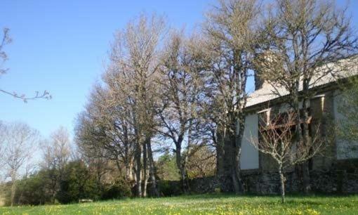 Hostal Casa Sario Jaurrieta Zewnętrze zdjęcie